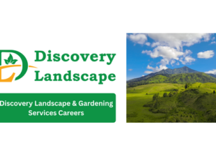 Discovery Landscape & Gardening Services Walk-In Interview